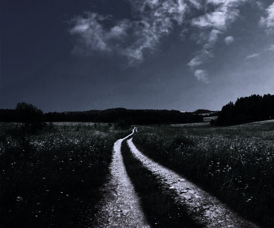 Дорога через луг обои