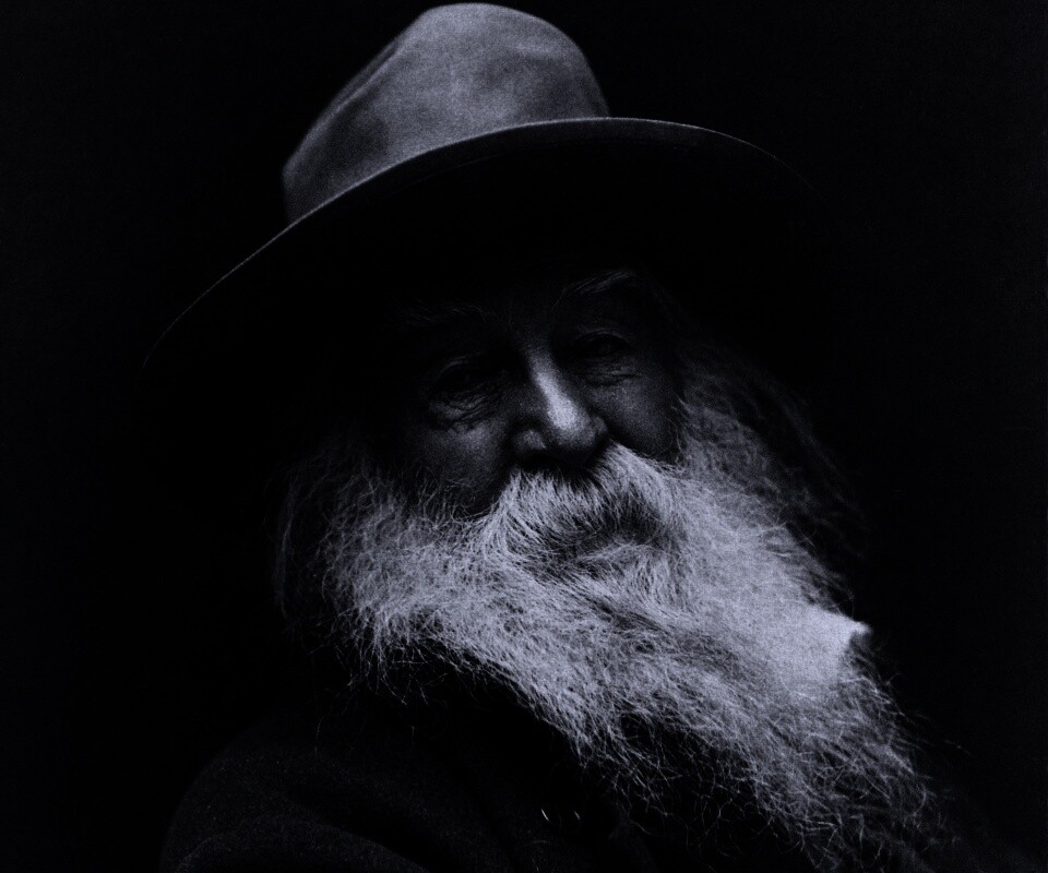 Уолт Уитмен обои