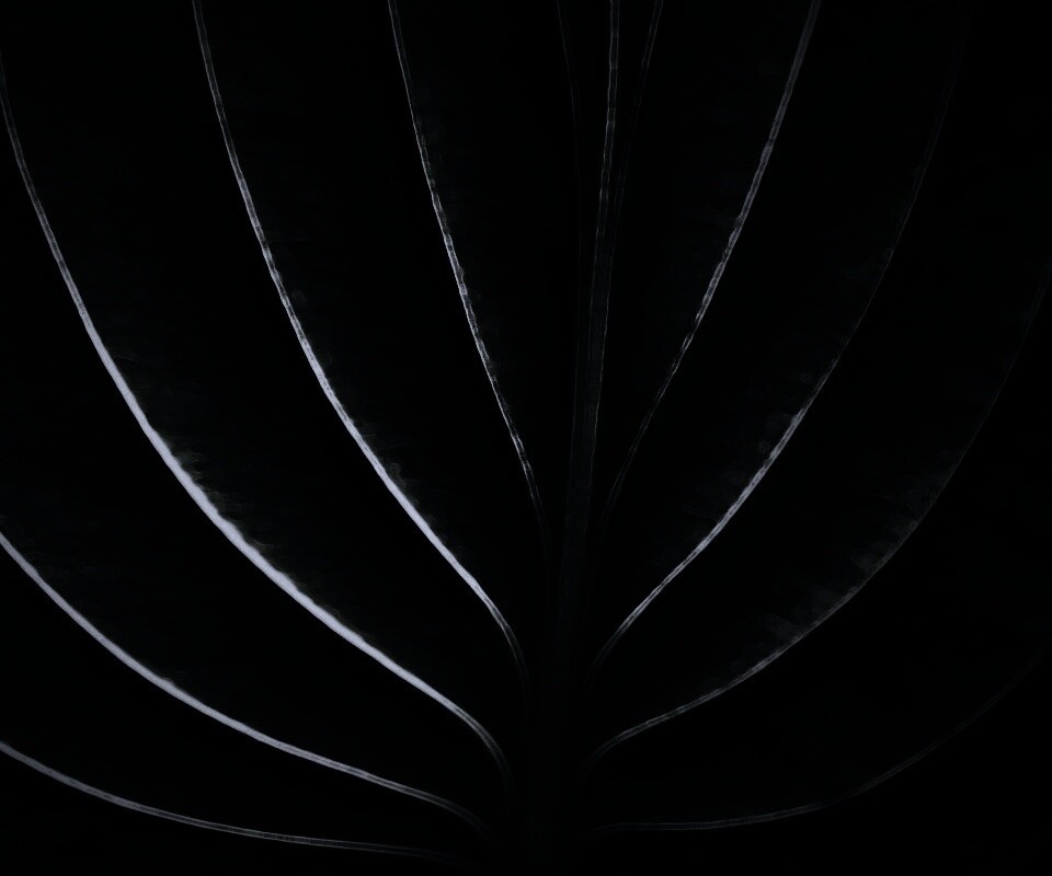 Неоновый лист обои