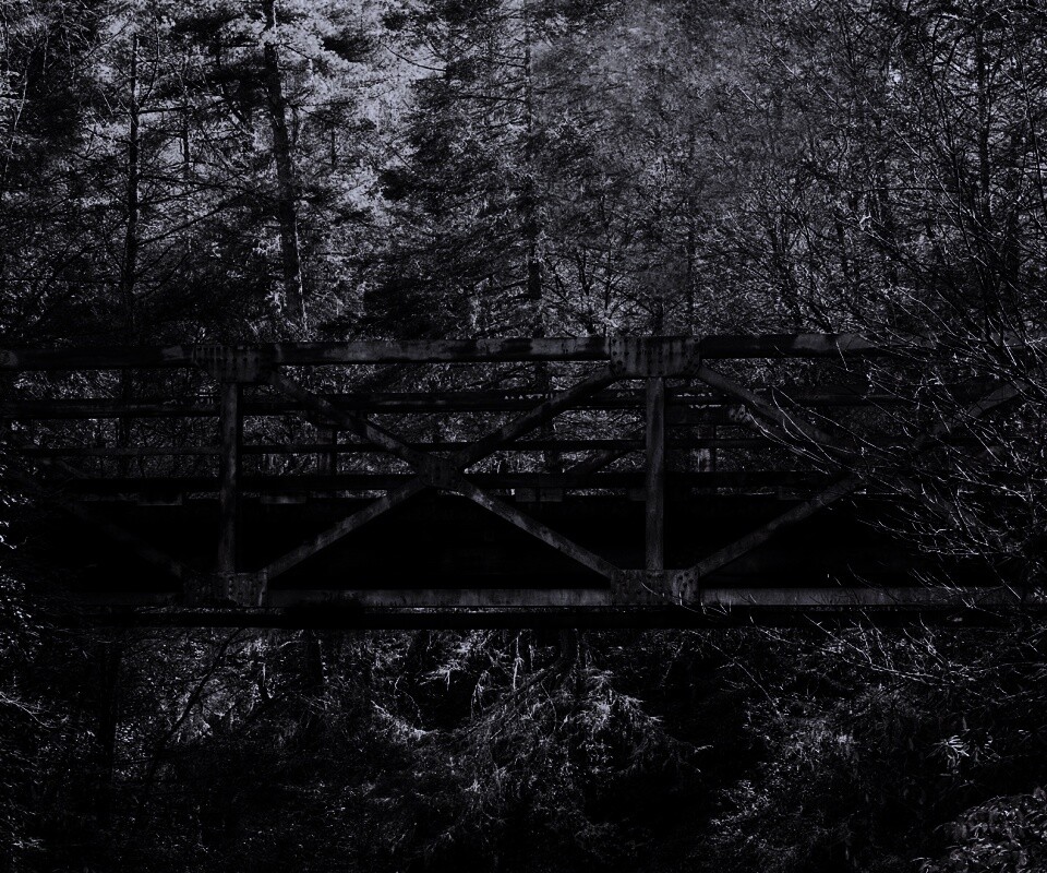 Металлический мост в лесной глуши обои