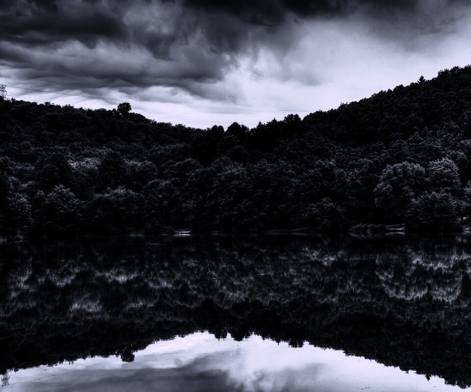 Лесной берег обои