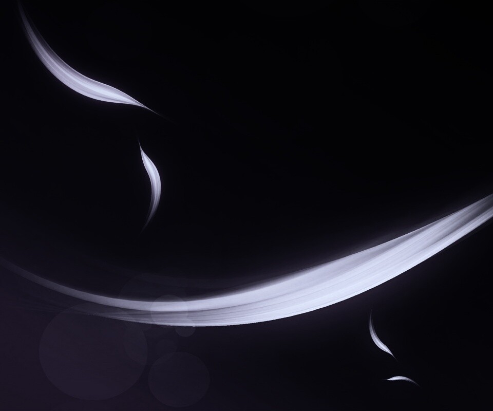 Лепестки света обои