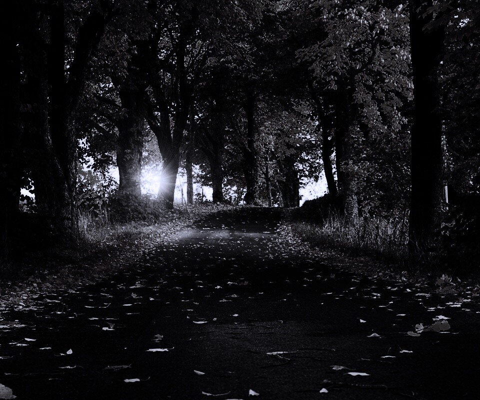 Дорога в осеннем парке обои