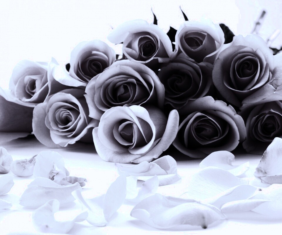 Букет роз обои