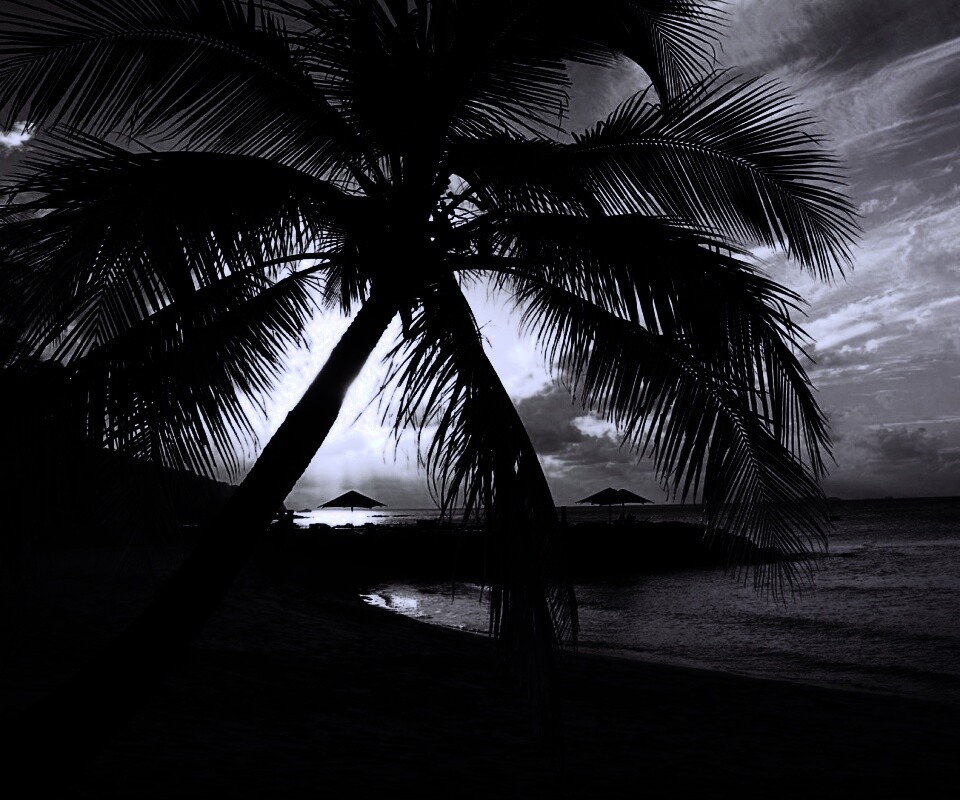 Пляж на закате обои