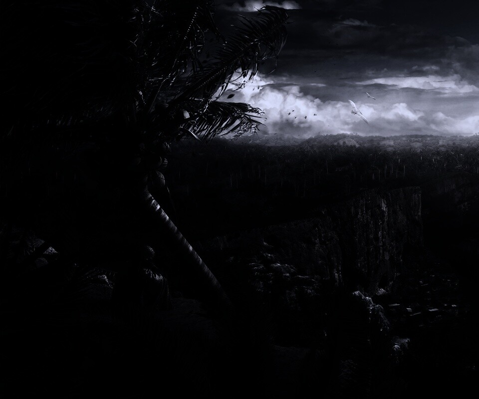 Вид на джунгли обои