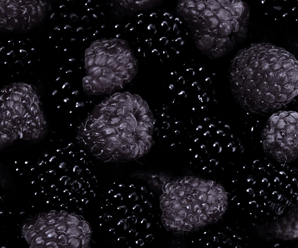 Малина и ежевика обои