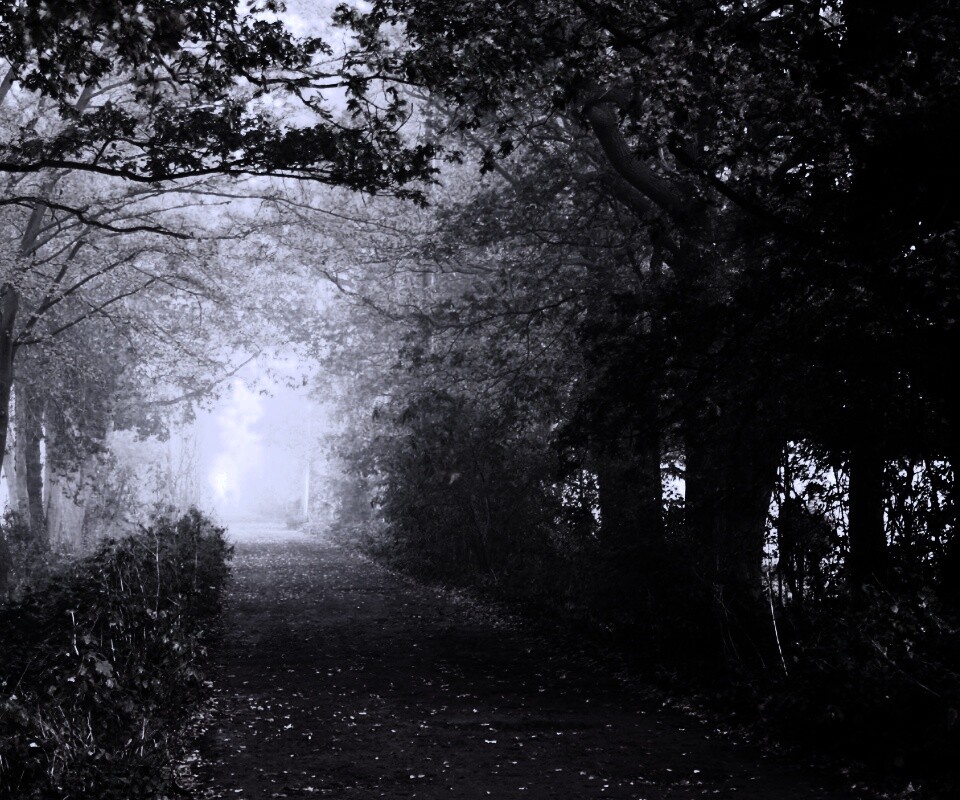 Парковая дорожка обои