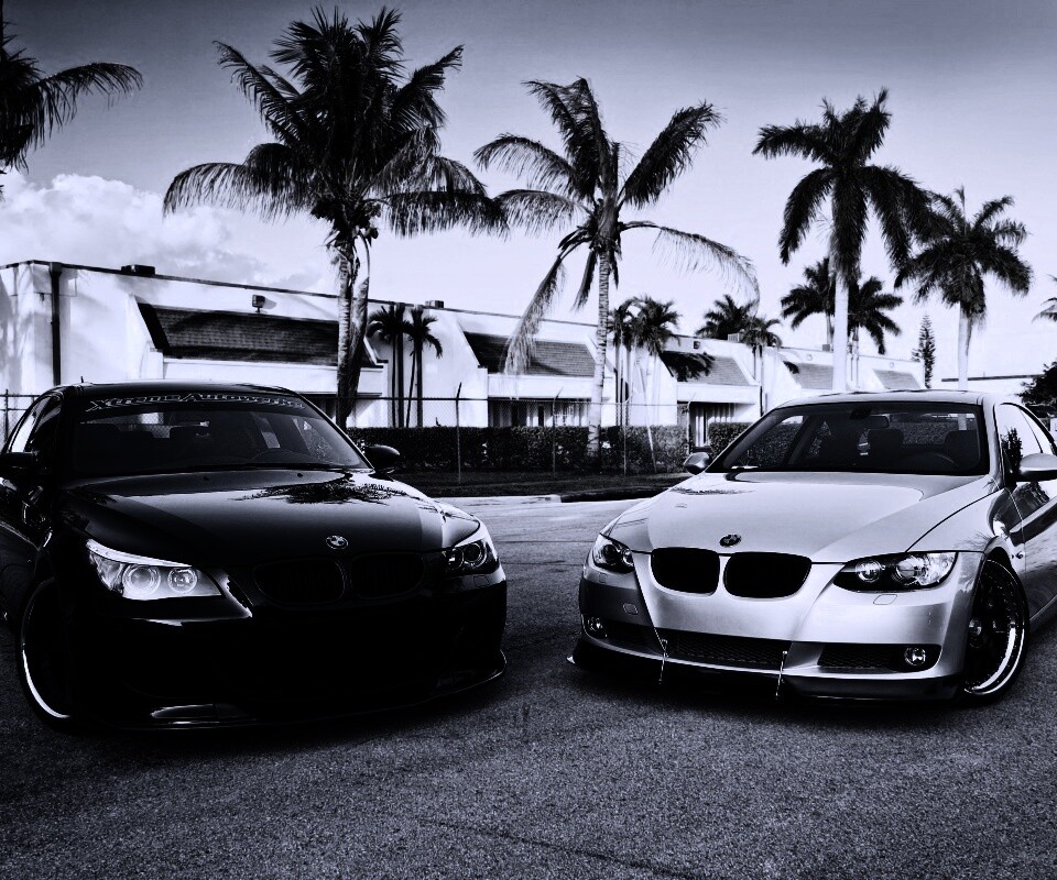 Две БМВ обои