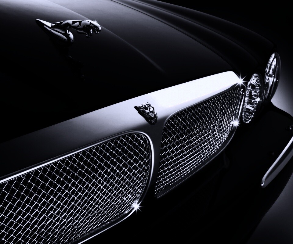 Капот и эмблема Ягуара обои