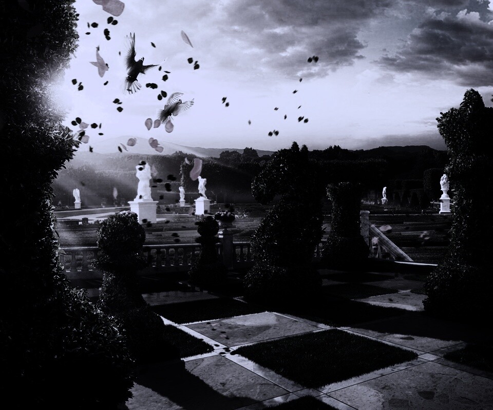 Шахматный сад обои