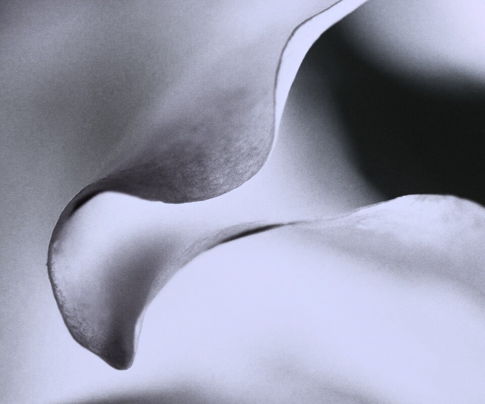 Оттенки природы обои