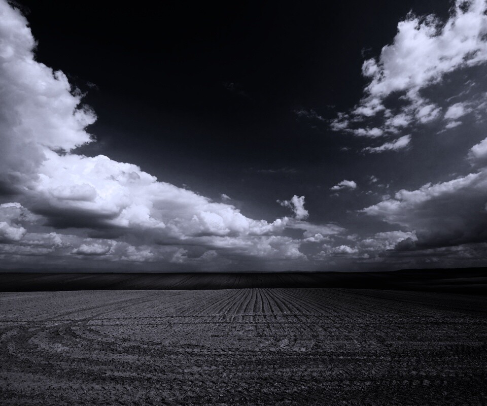 Незасеянное поле обои