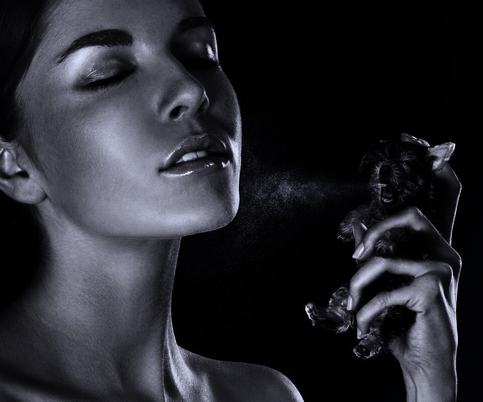 Соблюдайте гигиену обои