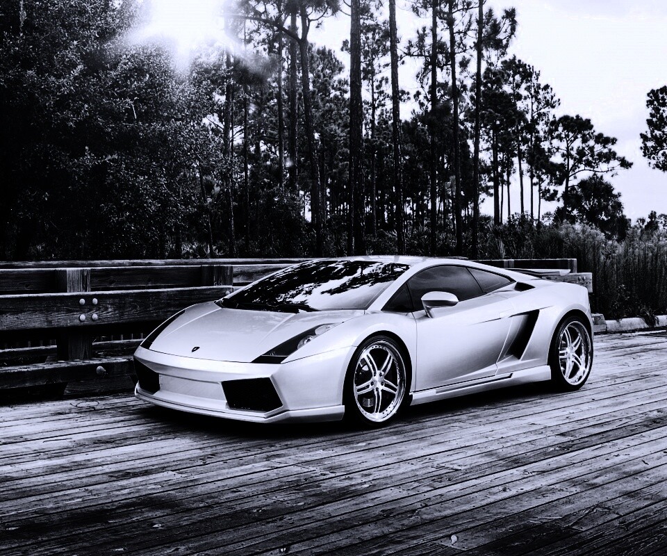 Ламбоджини на мосту в лесу обои