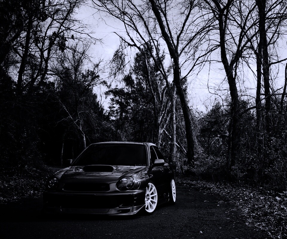 Субару Импреза на лесной дороге обои