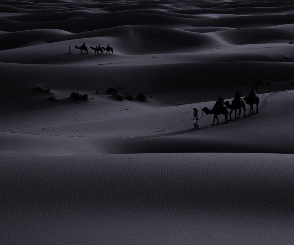 Караваны пустыни обои