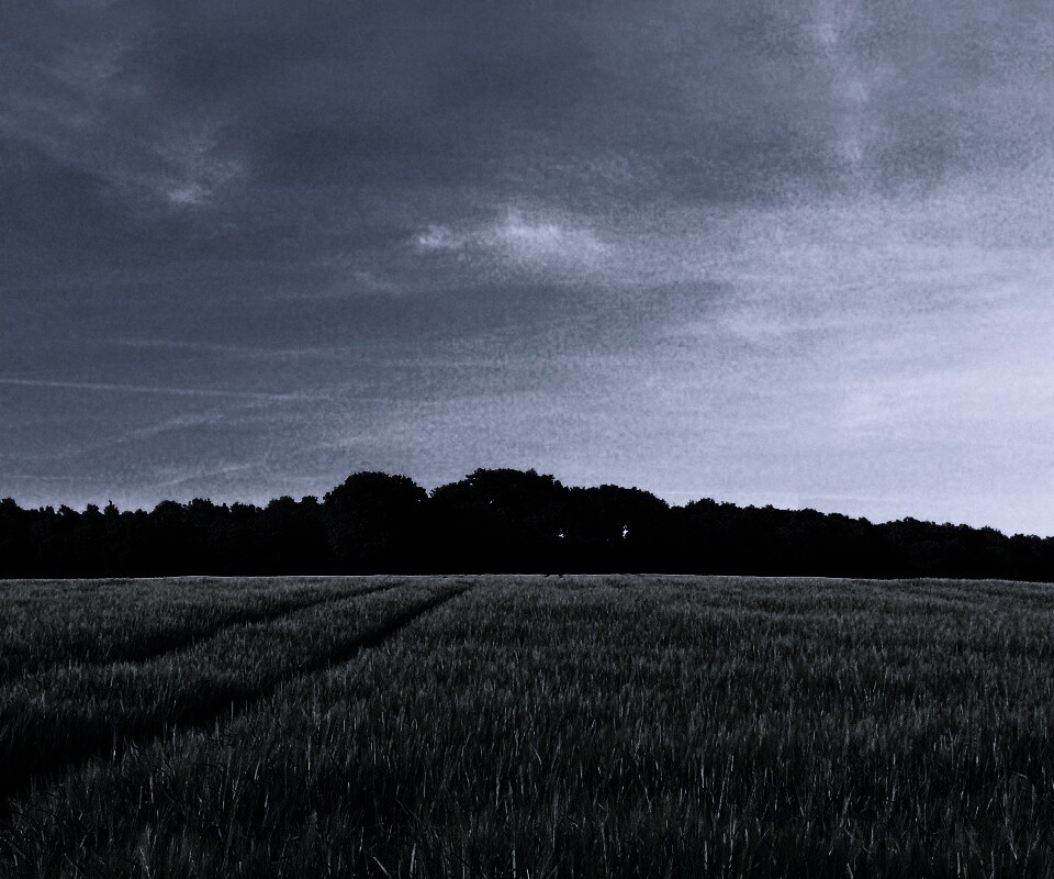 Следы колеи в поле обои