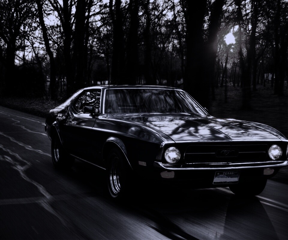 Мустанг обои