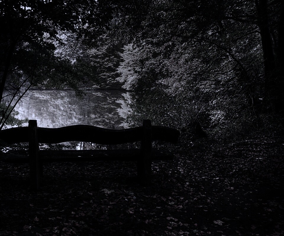 Скамейка в лесу обои