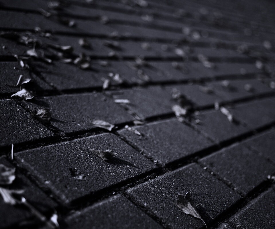 Тротуар обои