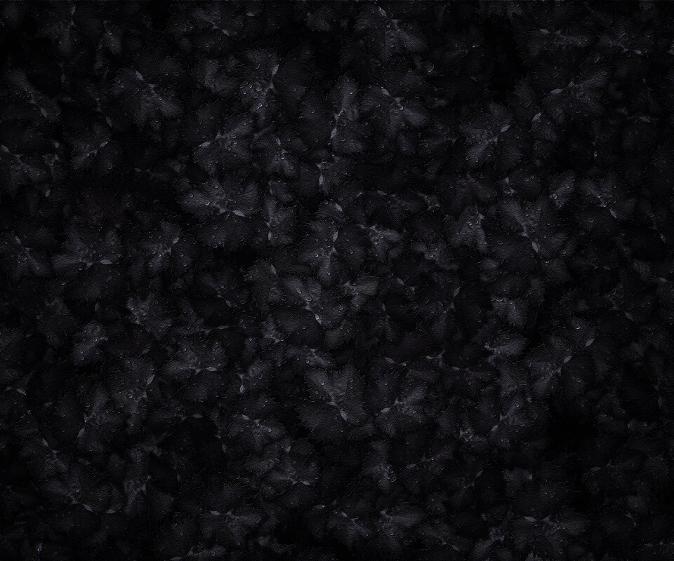 Осенние листья обои