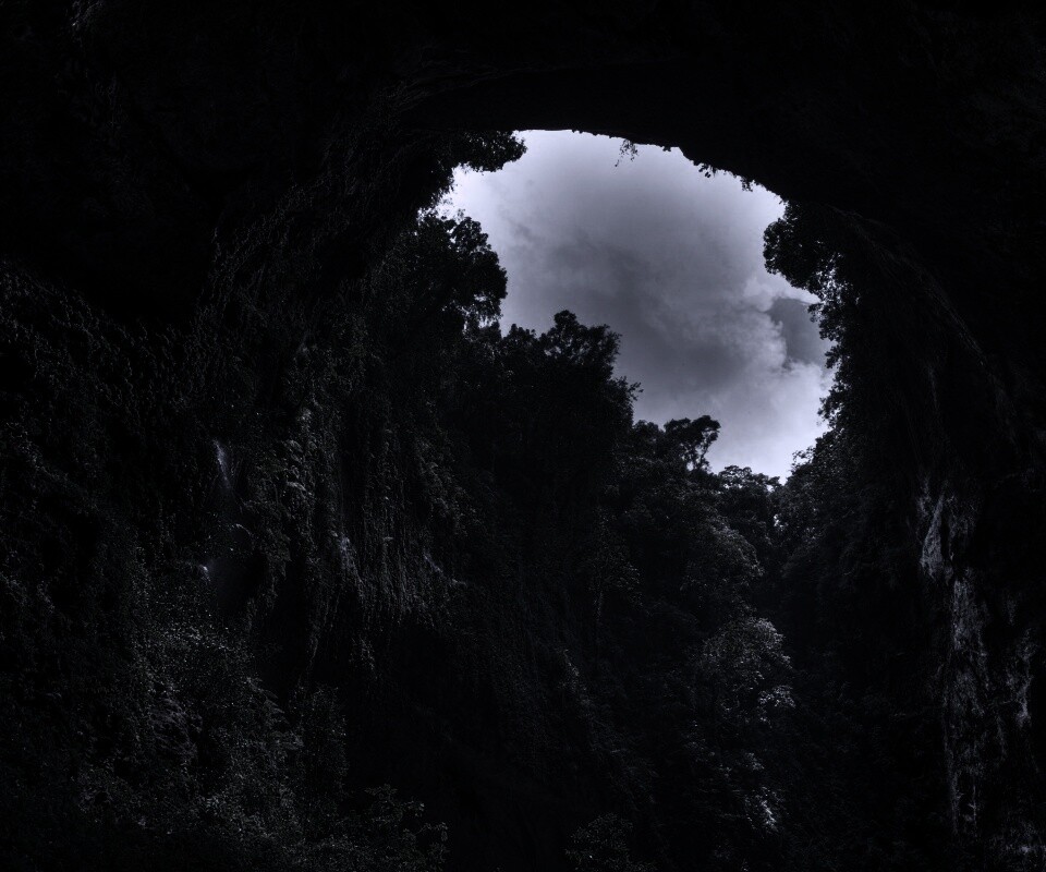 Заросшее ущелье обои