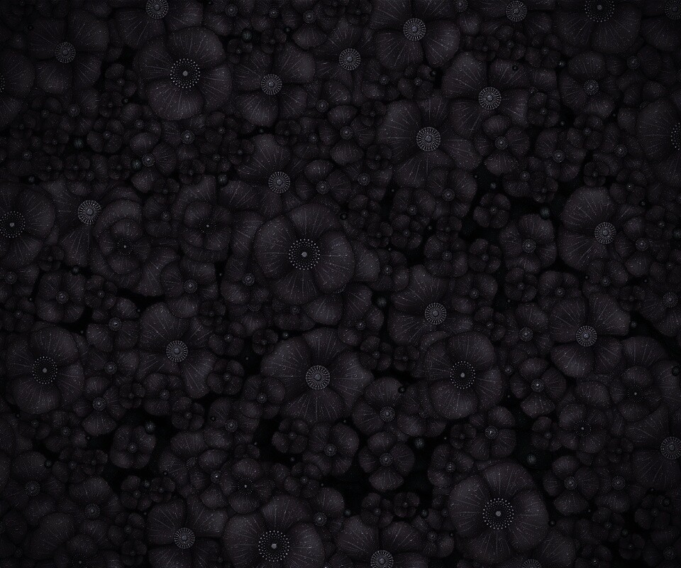 Рисунко с красными цветами обои