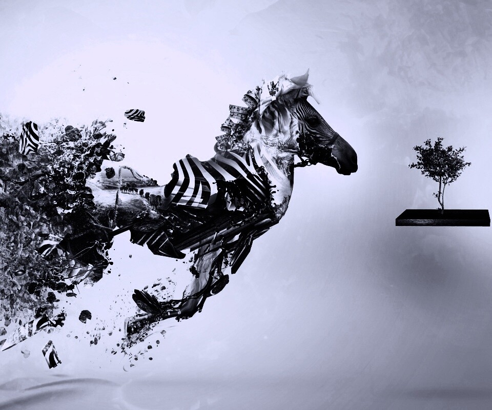 Зебра и бонсай обои