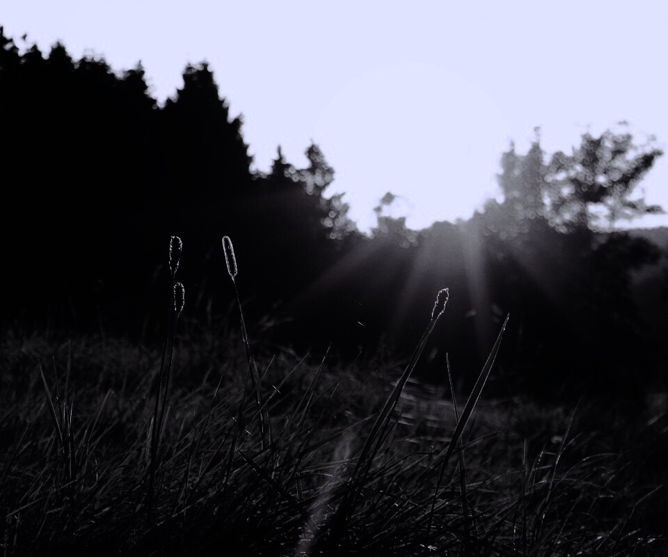 Красота природы обои