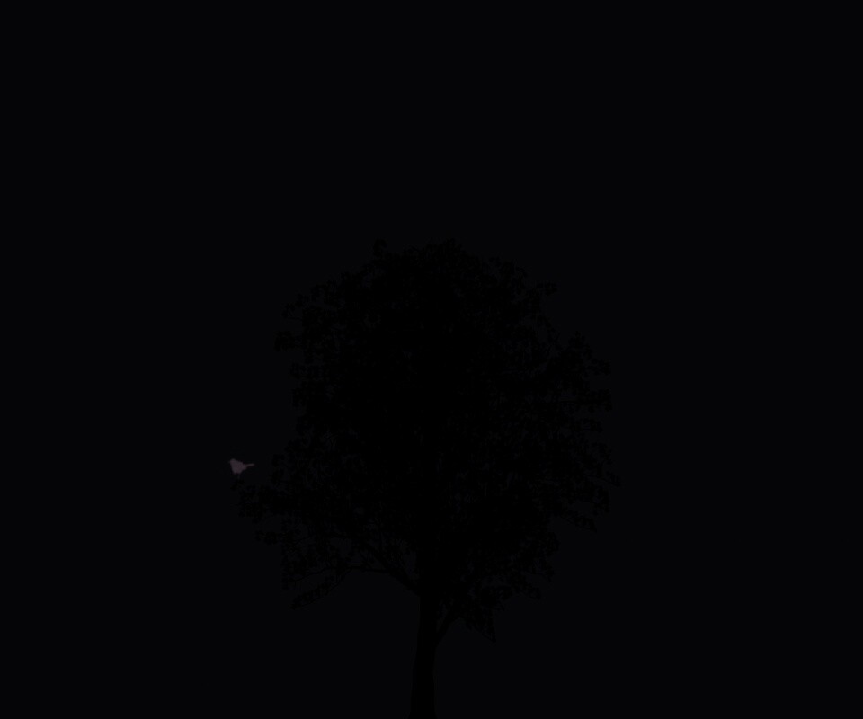 Дерево и птица обои