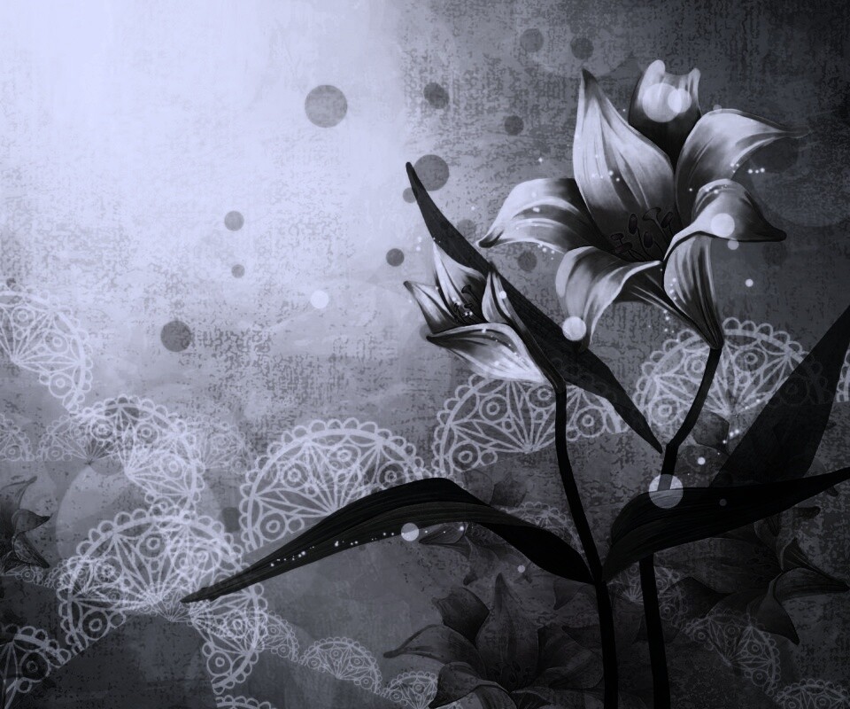 Красивое изображение лилии обои