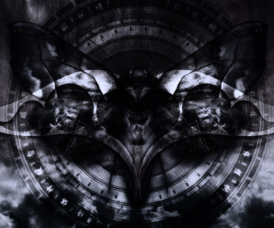 Красивая фэнтезийная бабочка обои