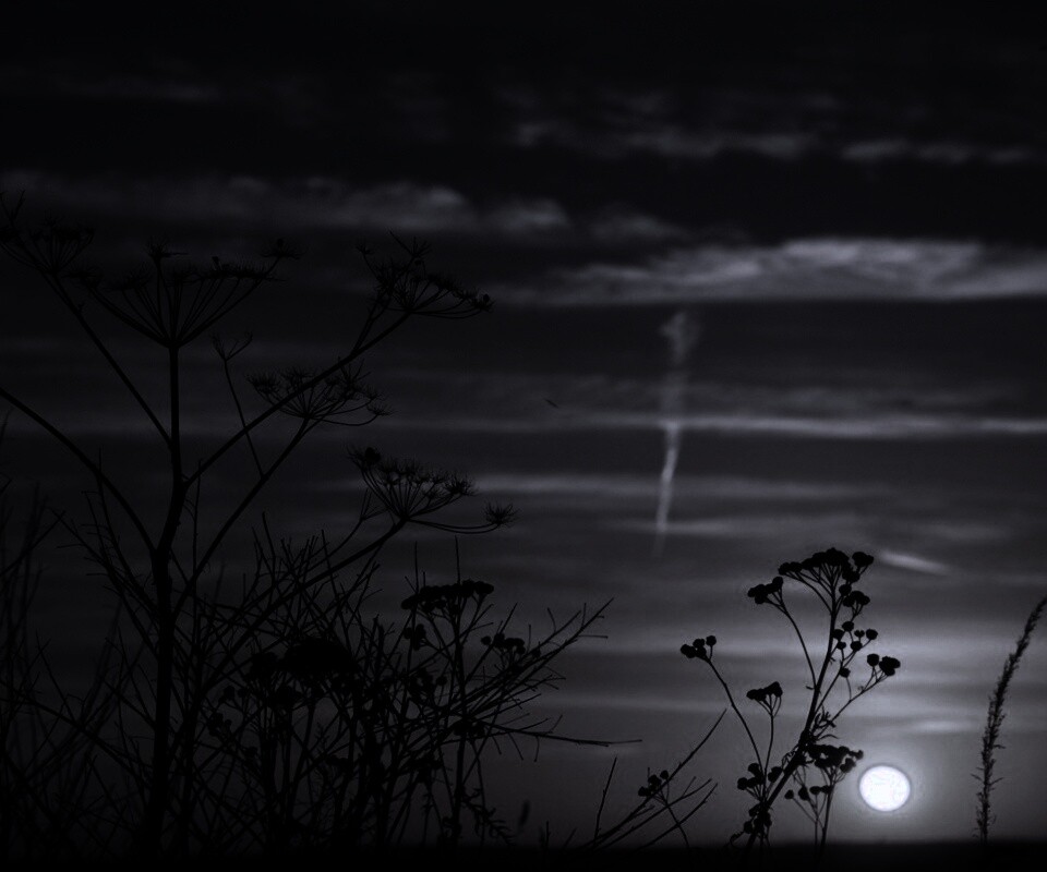 Степной закат обои