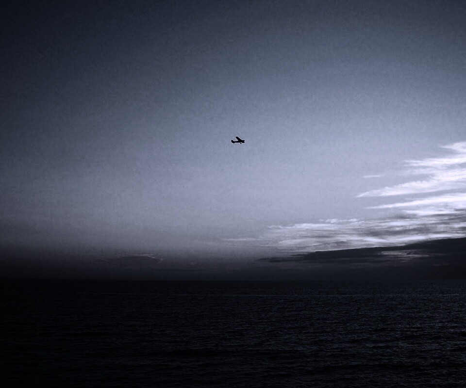 Паращий над морем обои