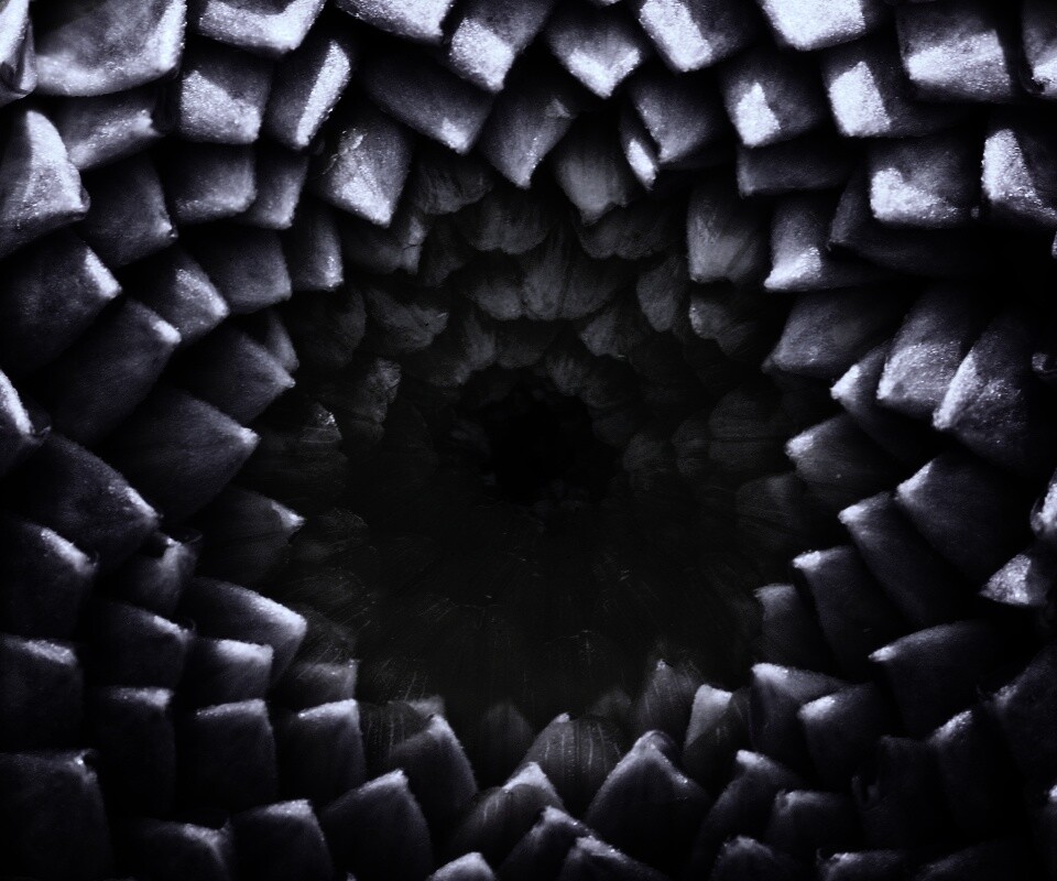 Сердцевина цветка обои