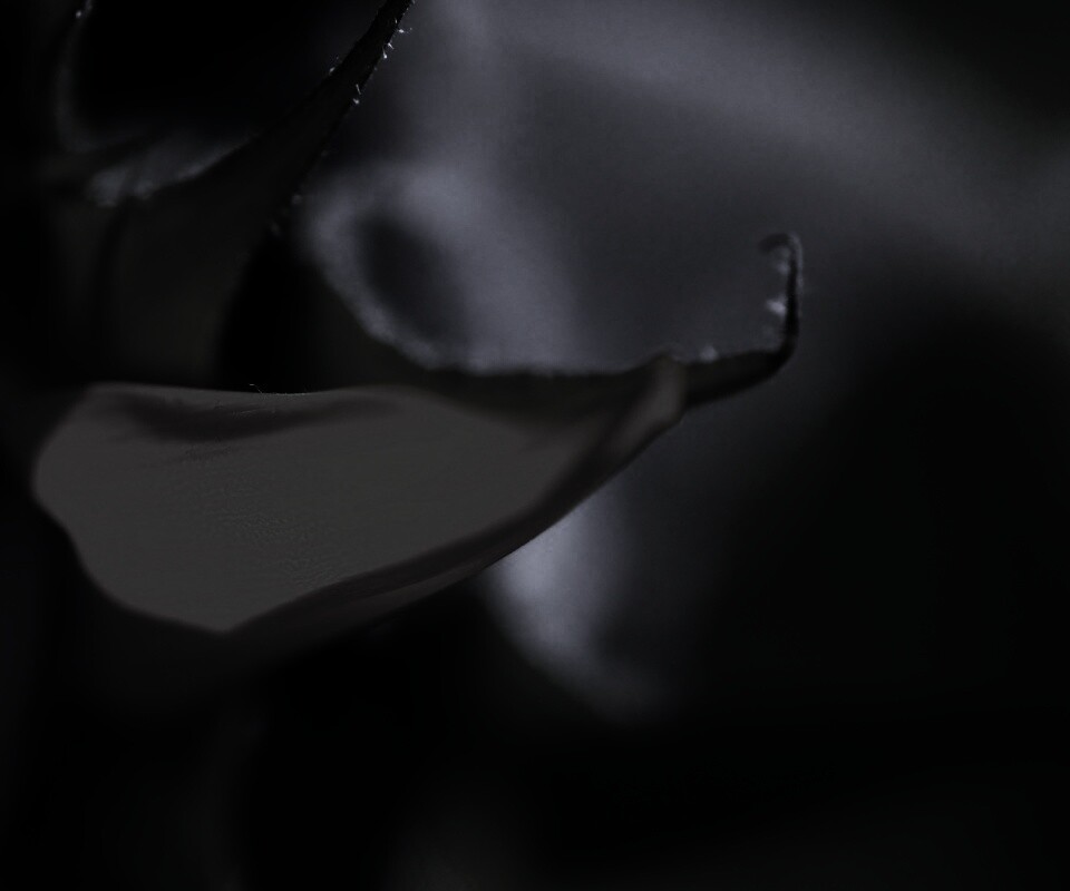 Солнечный цветок обои