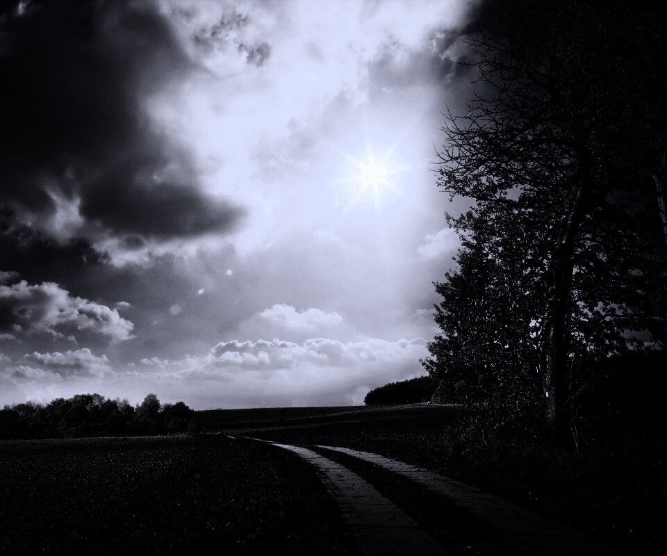 Солнечные холмы обои