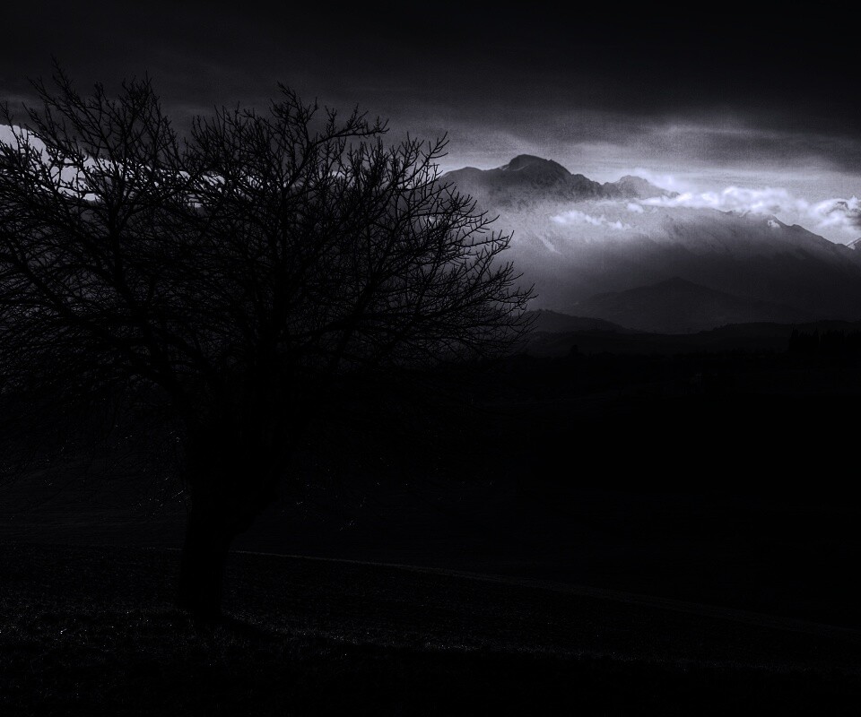 Дерево и горы обои