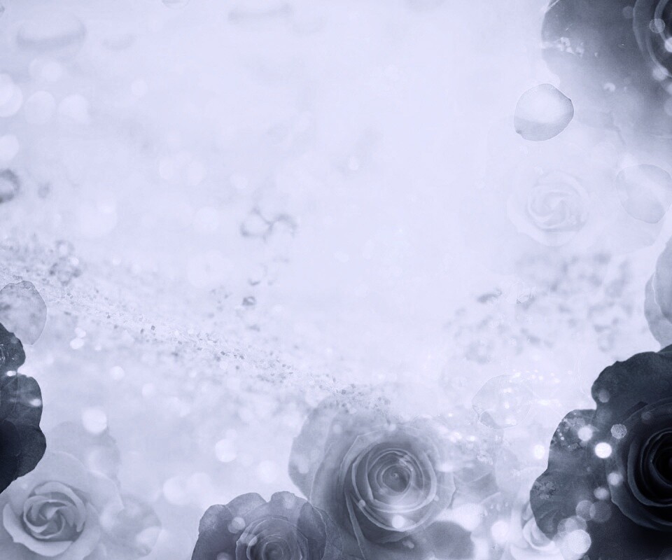 Синие розы обои