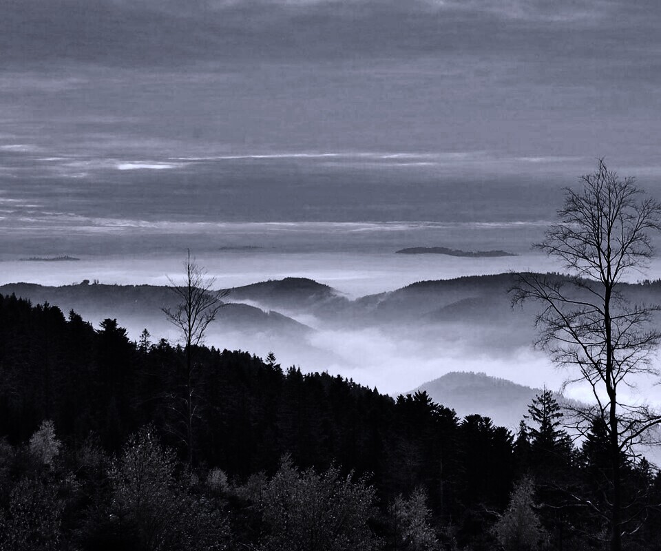 Холмы в тумане обои