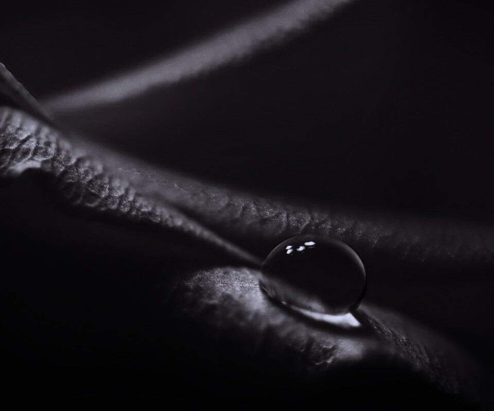 Капелька обои