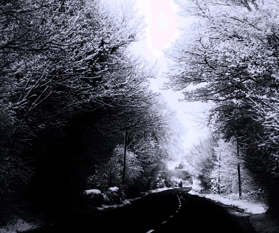 Дорога через зимний лес обои