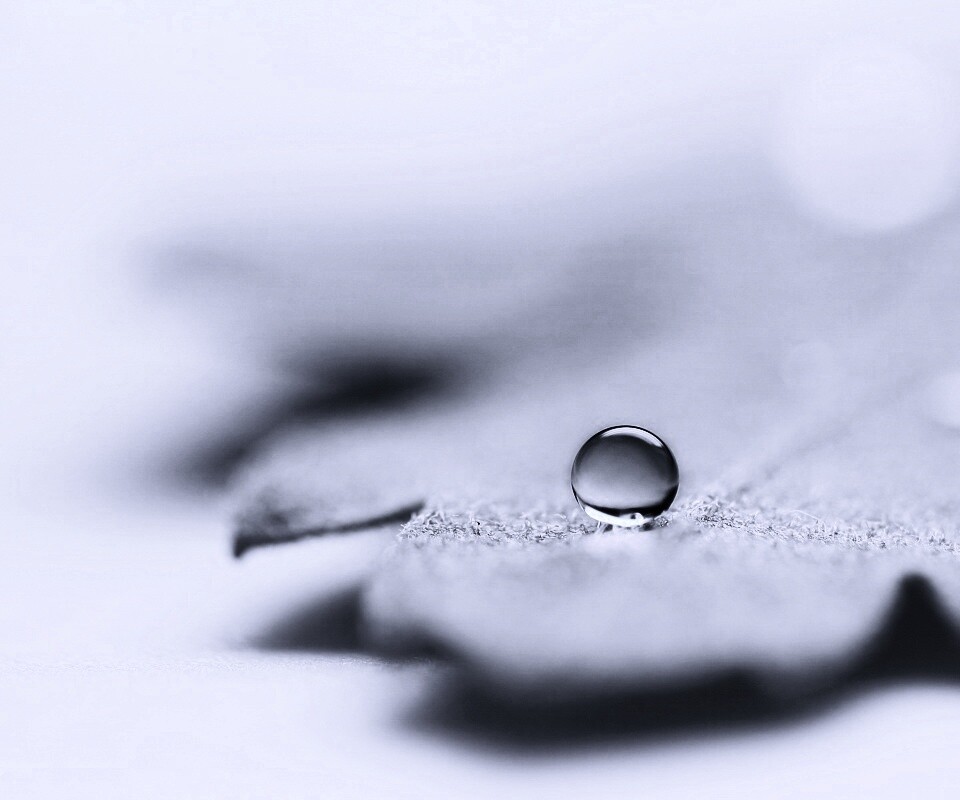 Капля на замёрзжем листе обои