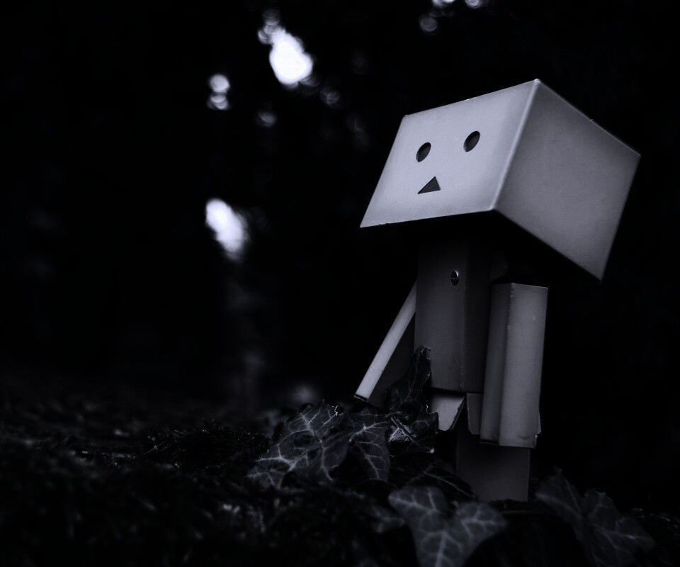 Danbo смотрит вверх обои