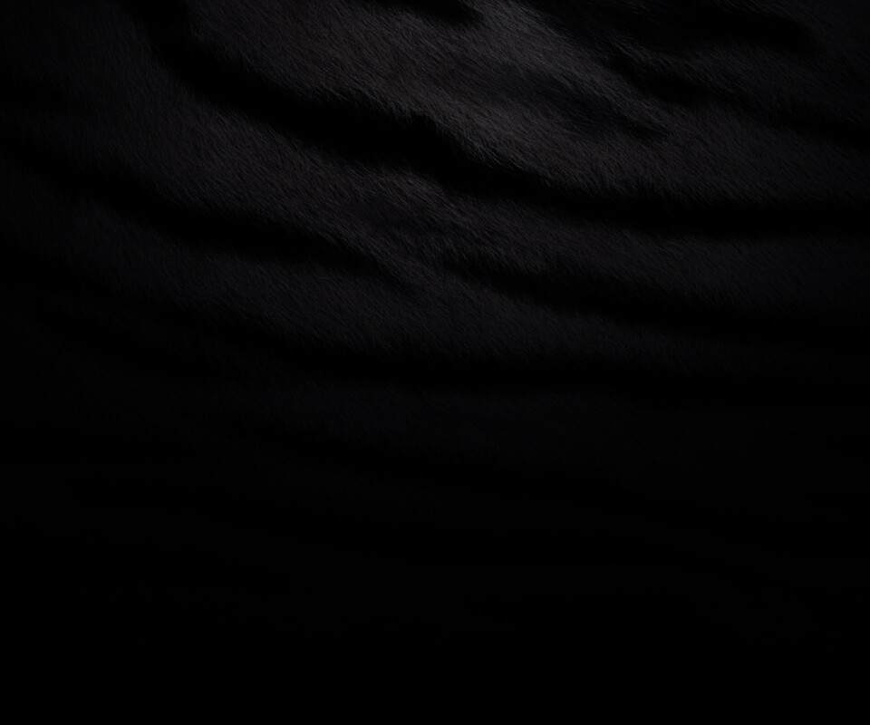 Тигриная шкура обои