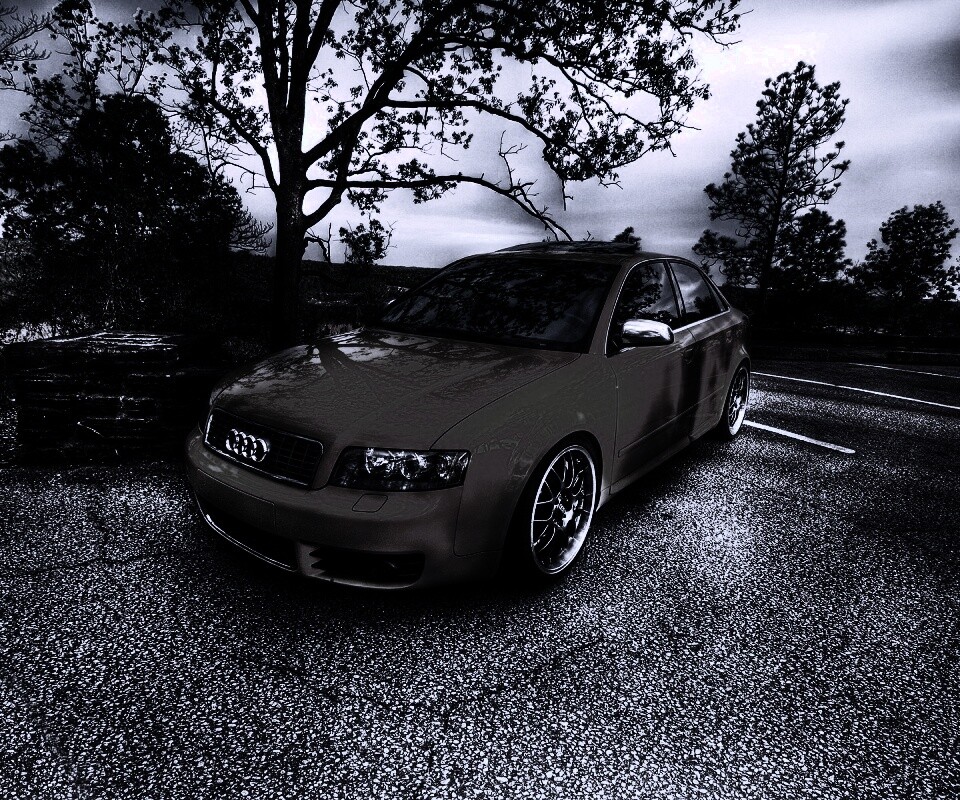 Желтый Ауди на дороге обои