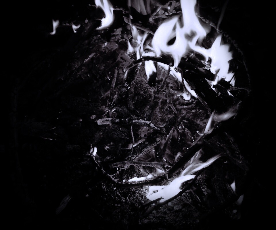 Костёр крупным планом обои