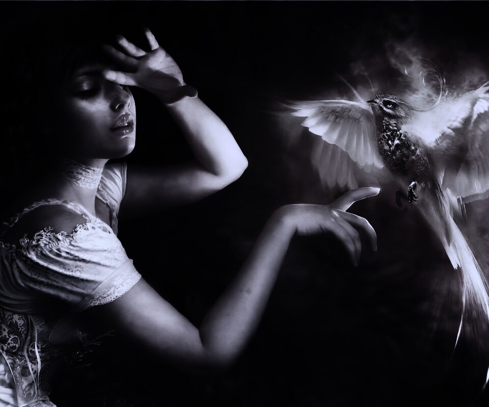 Феникс обои