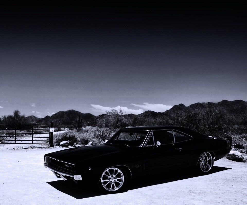 Мускулкар под палящим солнцем обои